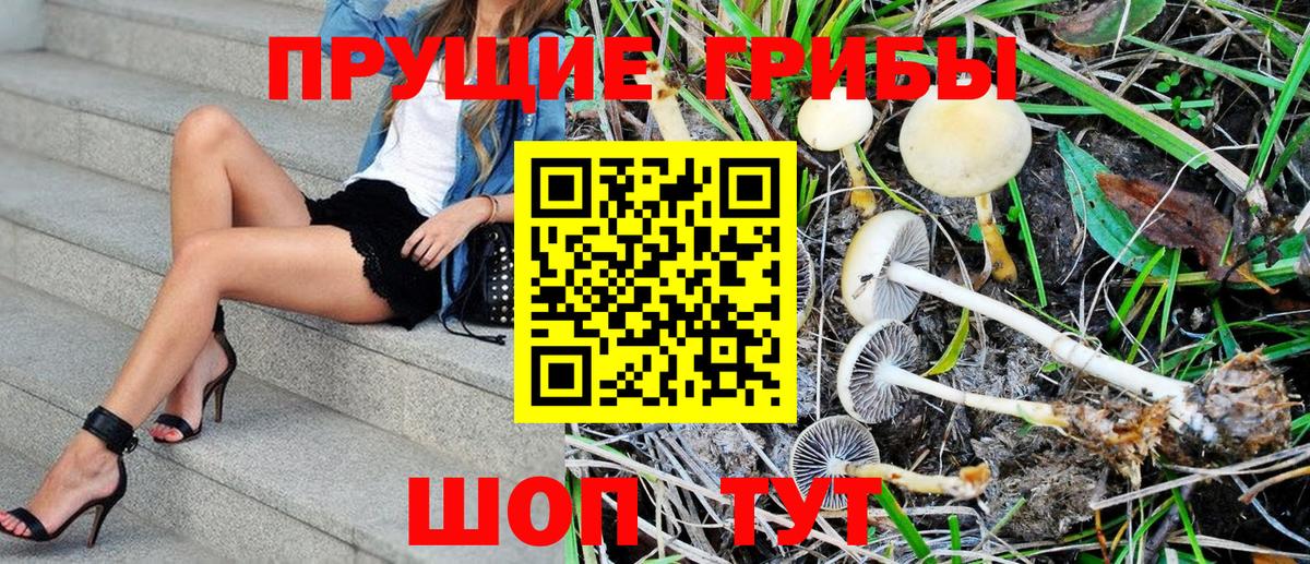 Галлюциногенные грибы MAGIC MUSHROOMS Пугачёв